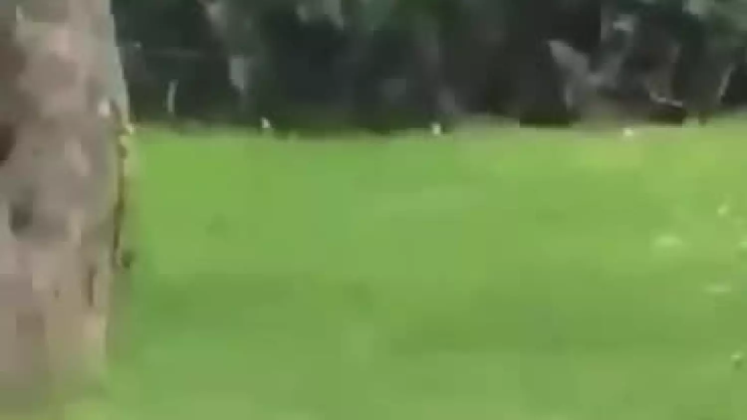 9izosmrogg9ku80b-1.mp4