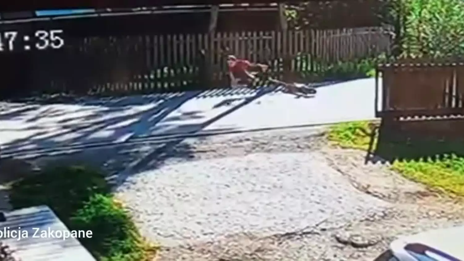 aqo1-p5wzzgi4xb11pish-yrhcy5-kzco4sizbippmgvar3ixrsoralnuali3mnguoa4xeghxacdim82lfreljtp01wc5neehk4vz5aorznd7a.mp4