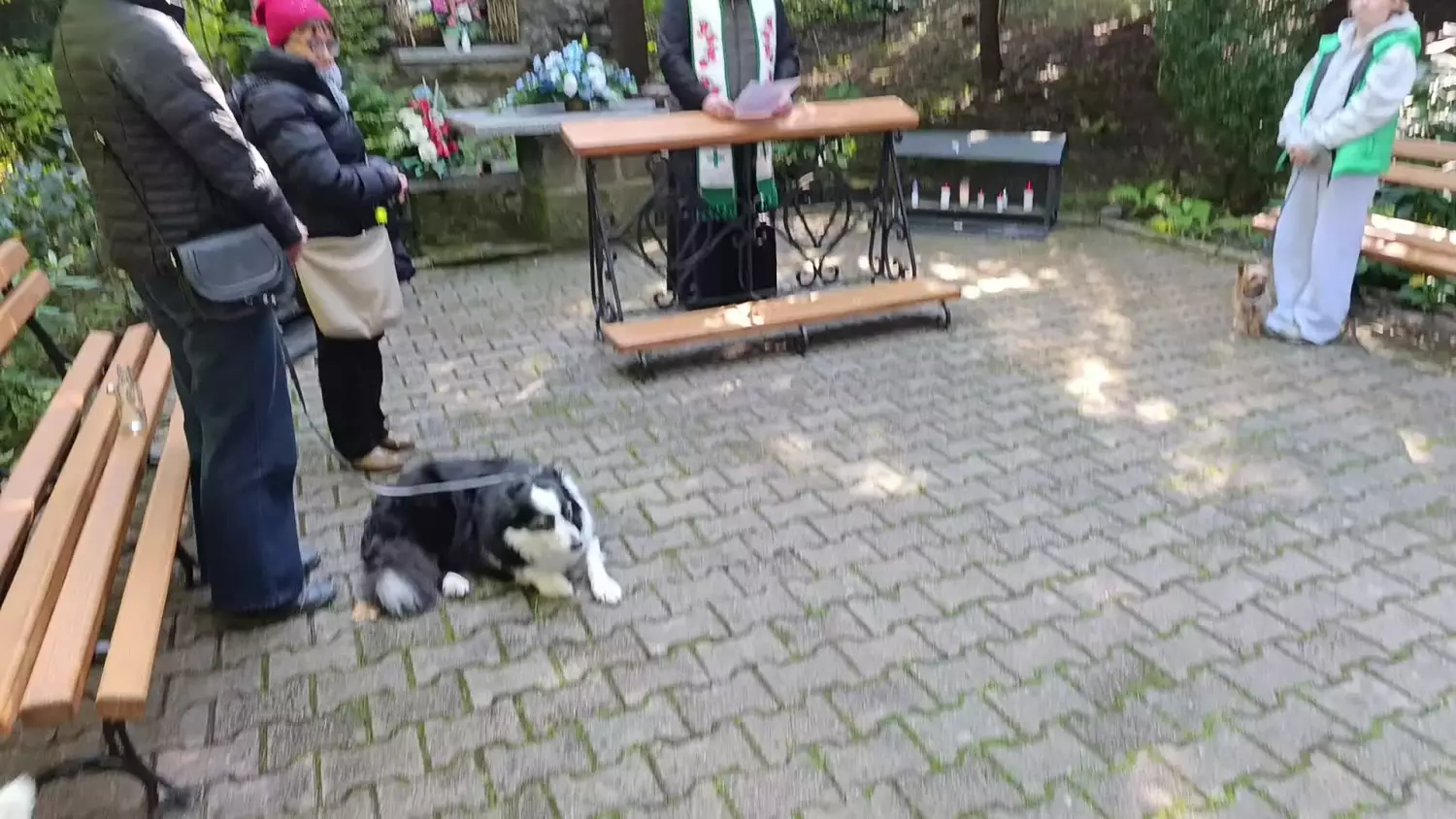 vid-20251004-120157.mp4