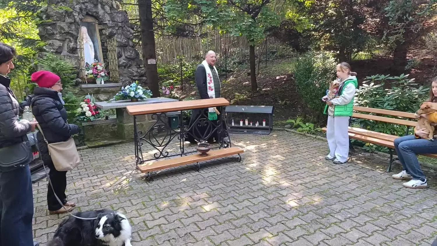 vid-20251004-120540.mp4