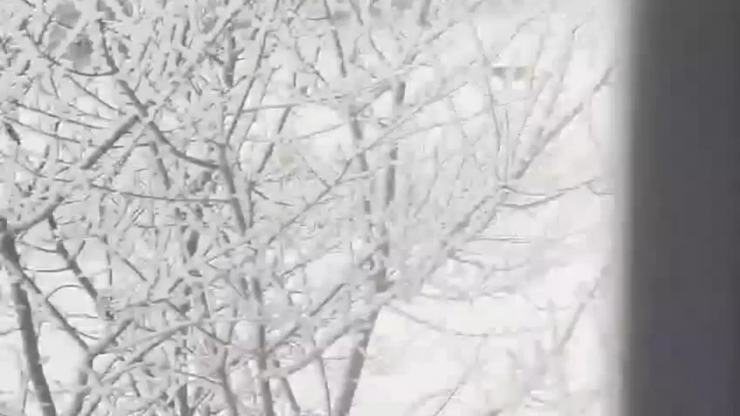 1000044626.mp4