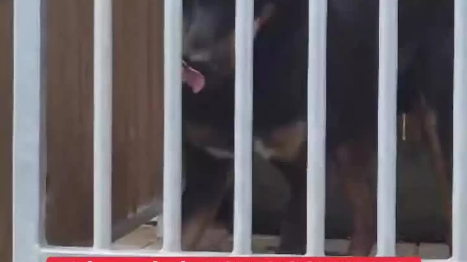 1000050019.mp4