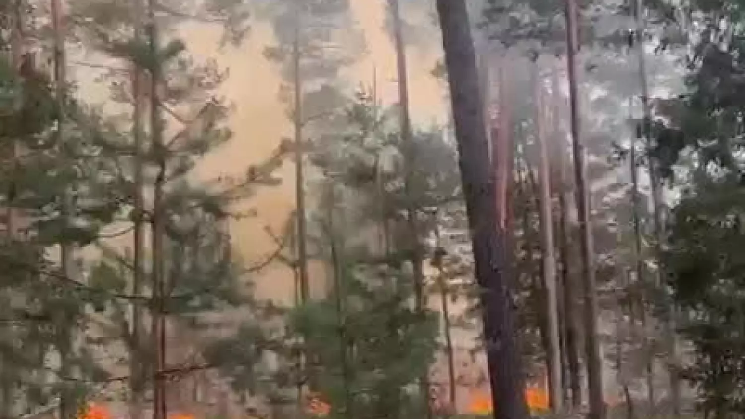 1000050547.mp4