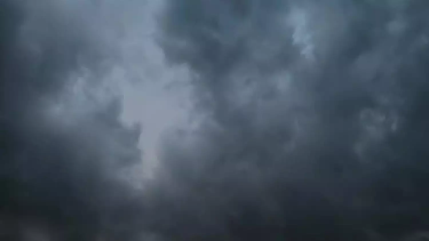 7720.mp4