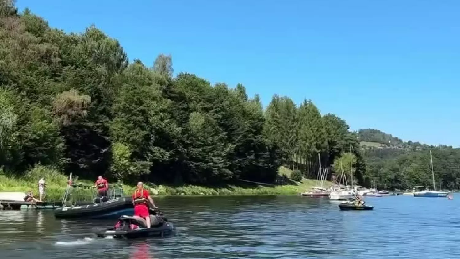 9555.mp4